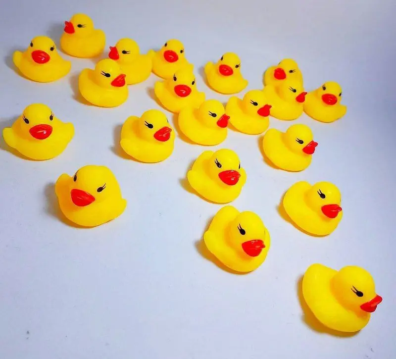 مجموعة البط الأصفر الصغير، 20 بطة زمارة مستوردة