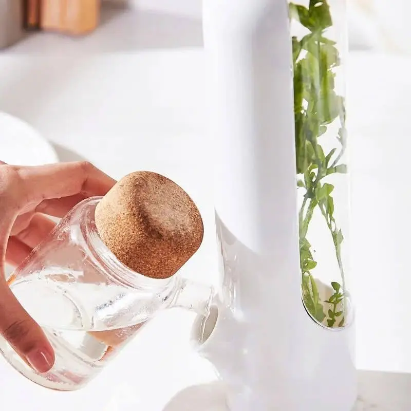 كبسولة حفظ الخضار