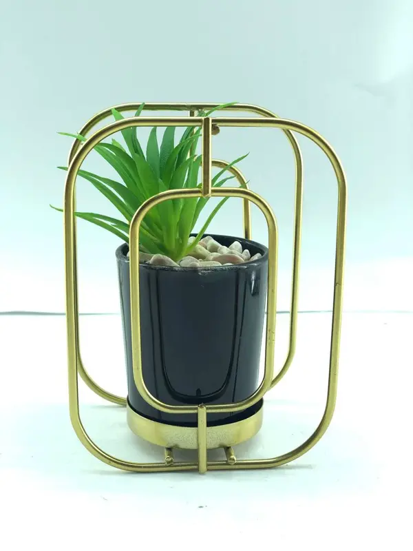 زرعة الأناقة الذهبية