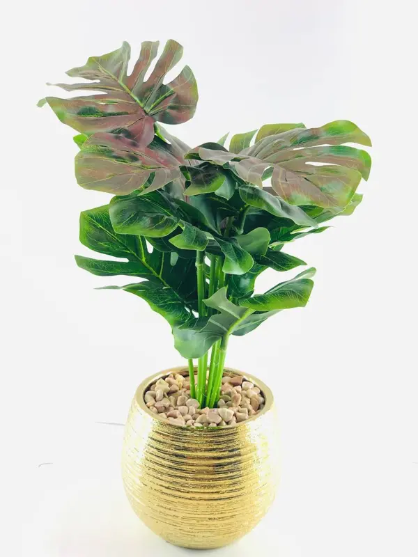 مزهرية الخزف الأنيقة