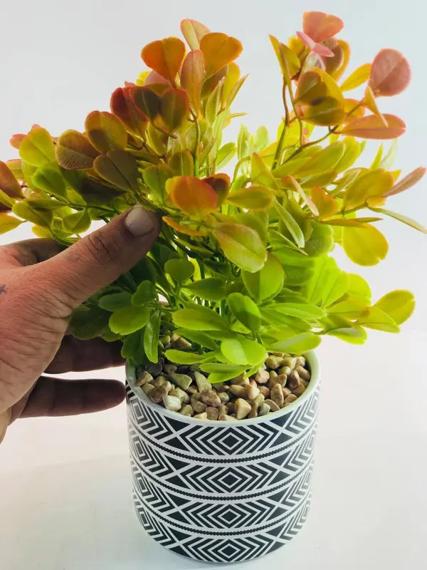 نباتات لمسة الطبيعة الخزفية