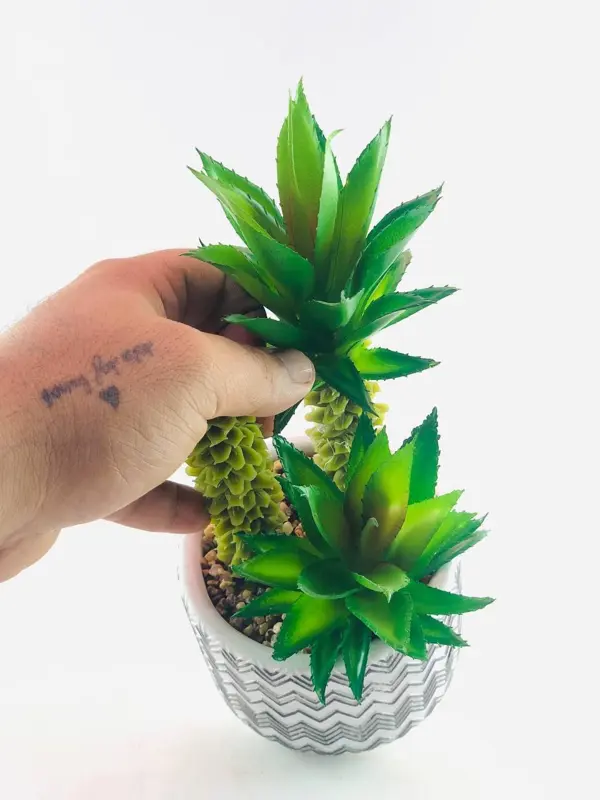 قطعة الديكور الخضراء في وعاء بلاستيكي أبيض بتصميم رخامي