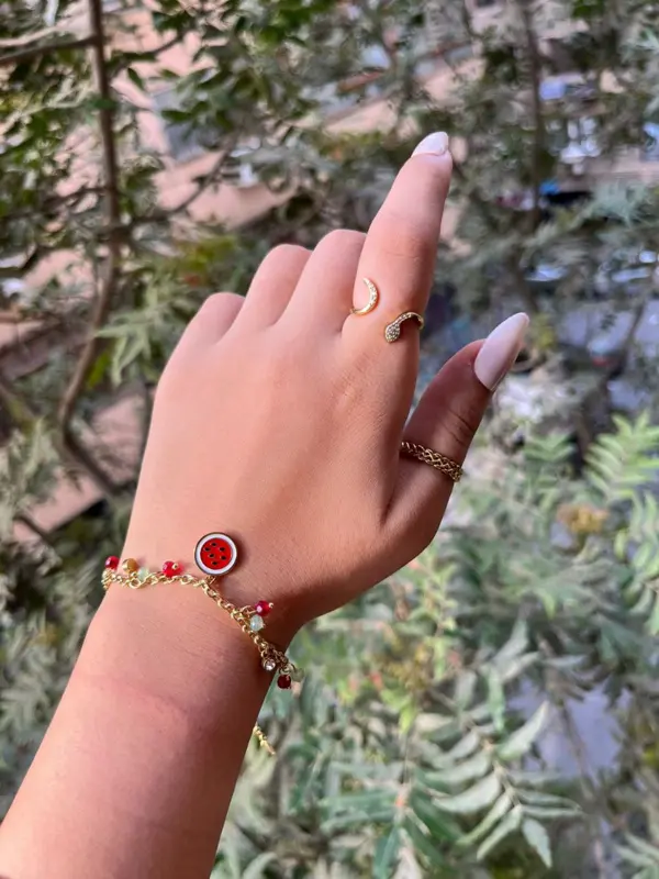 انسيال "بطيخة الصيف المنعشة" من "ذا فروتي شاين"