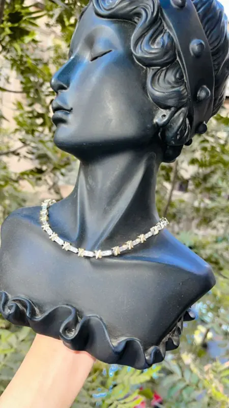 سلسلة "عقد الياقوت" من "ذا إليجنت أنيمال"