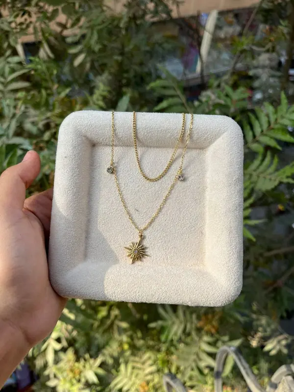 سلسلة دورين "إشراقة النجم" من "ذا إليجنت أنيمال"