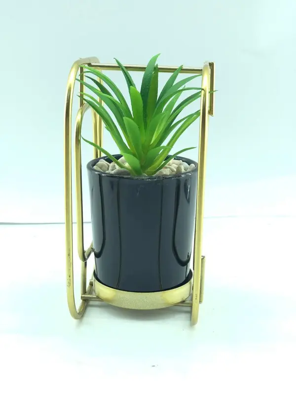 زرعة الأناقة الذهبية