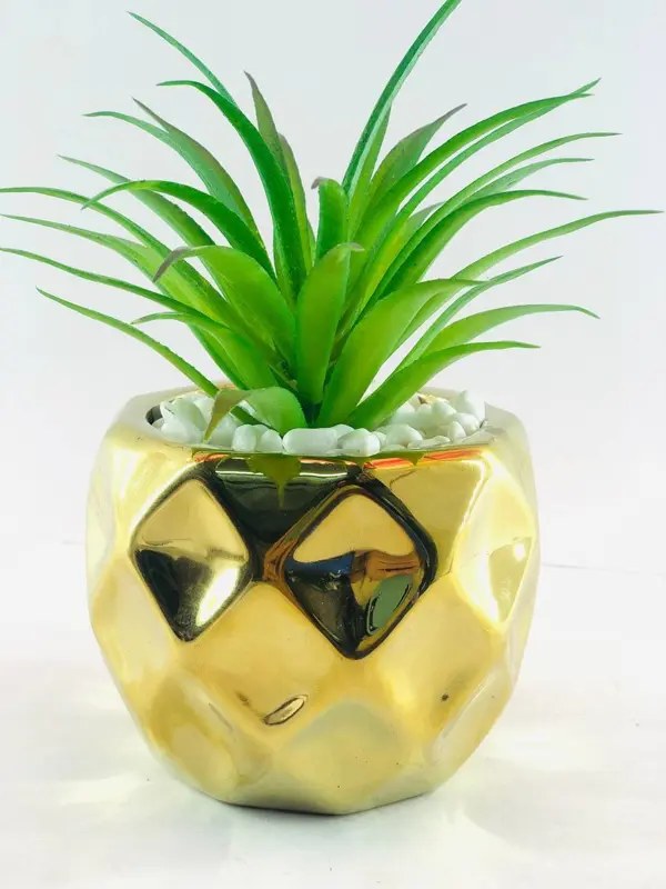 نبات الزينة في وعاء رخامي بتصميم ذهبي لامع